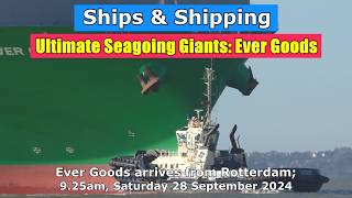 Ultimate Seagoing Giants Ever Goods arrives from Rotterdam Saturday 28 September 2024 [upl. by Titus]