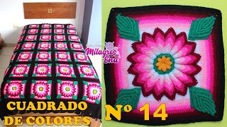 Como tejer el Cuadrado o muestra de colores N° 14 a crochet para colchas y cojines paso a paso [upl. by Nibot]