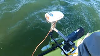 Watersnake trolling motor amp draw tests  side mounted on kayak [upl. by Ahsinik446]