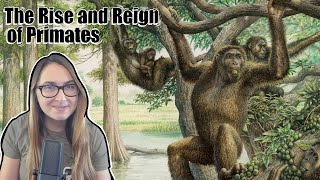 The Rise and Reign of Primates  The Miocene Apes [upl. by Gavrielle]