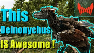 How To Tame Deinonychus Ark Survival FAST [upl. by Viviyan]