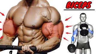 Make STRONGER🔥 Biceps From This Exercises ll Wider BICEPS Workout [upl. by Pike]