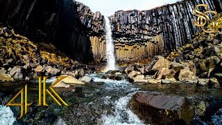 Svartifoss the black waterfall Iceland  4K Ultra HD [upl. by Drisko]