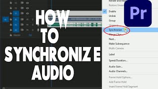 HOW TO SYNCHRONIZE video and audio  premiere pro tutorial  Malayalam [upl. by Angel]