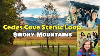 Smoky Mountains National Park  Cedes Cove Scenic Loop  Gatlinburg  Pigeon Forge  Smoky Mountain [upl. by Himelman]