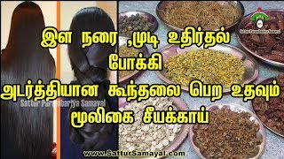 இள நரை முடி உதிர்தல் போக்கி அடர்த்தியான கூந்தலை பெற உதவும் மூலிகை சீயக்காய் Shikakai powder [upl. by Pahl225]