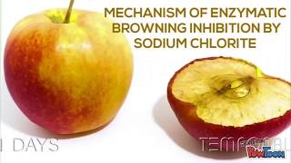 Mechanism of enzymatic browning inhibition by Sodium Chlorite [upl. by Elijah44]