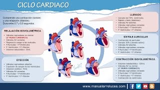 CICLO CARDIACO [upl. by Nathalia]