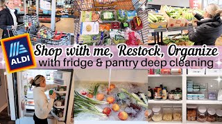 NEW 2024 ALDI SHOP WITH ME RESTOCK amp PREP PANTRY amp FRIDGE DEEP CLEAN AND ORGANIZE TIFFANI BEASTON [upl. by Agnese]