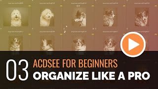 ACDSee for Beginners  03  Organize Like a Pro with Manage Mode [upl. by Narret]