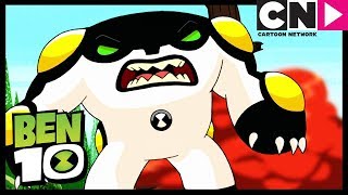 Destruye Los Clones  Max Al Máximo  Ben 10 en Español Latino  Cartoon Network [upl. by Hodge]