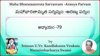 MahaBharatam Aranya Parvam Ch79 by Kandlakunta Venkata Narasimhacharya swami [upl. by Noiemad196]