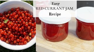 How to make Redcurrant Jam Easy Recipe [upl. by Uon]