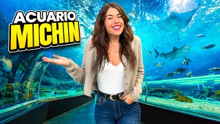 El ACUARIO más GRANDE de Latinoamérica en CDMX MEXICO 4K [upl. by Glori]