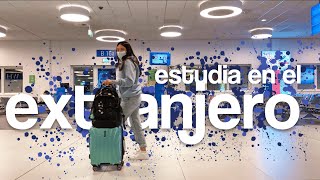 ¿cómo lograr estudiar al extranjero ✈️  guía completa [upl. by Ahel]