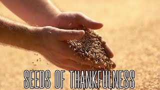 Seeds of ThankfulnessBishop Mark Lattimore [upl. by Enisaj]