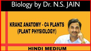 Kranz Anatomy  C4 Plants  Plant Physiology Hindi Medium [upl. by Topliffe]