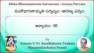 MahaBharatam Aranya Parvam Ch30 by Kandlakunta Venkata Narasimhacharya swami [upl. by Ahsekin986]