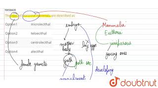 The eggs of placental mammals are described as [upl. by Analli703]