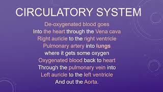 Circulatory System Song [upl. by Feenah]