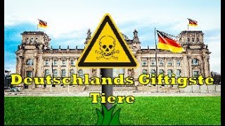 Top 5 der GiftigstenTiere in Deutschland [upl. by Otrebide127]