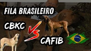 Fila Brasileiro CBKC vs CAFIB [upl. by Eilyak]