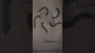 Echinodermata phylum ke all animals attractive diagrams [upl. by Suelo334]