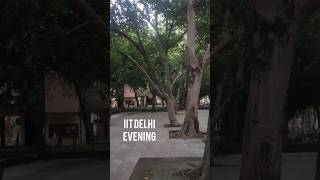 IIT Delhi evening viralshort iitdelhi lofi music [upl. by Sadler]