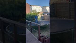 Middle aged man on Trampoline [upl. by Assiralk]