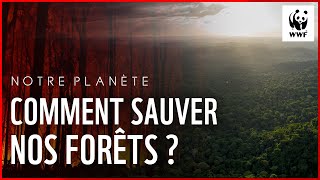 Notre Planète  comment sauver nos forêts [upl. by Inalaehak]