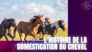 LA DOMESTICATION DU CHEVAL [upl. by Pilar]