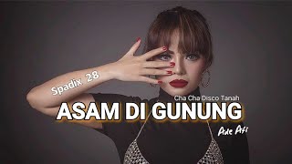 ASAM DIGUNUNG GARAM DILAUT  ADE AFI  SPADIX 28  CHA CHA DISCO TANAH SPESIAL REMIX [upl. by Mosra]