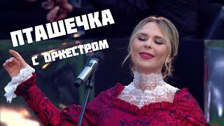 ПТАШЕЧКА — Пелагея с оркестром [upl. by Amadeus381]