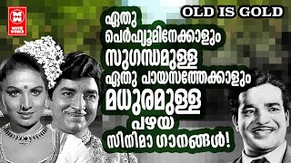 ഏത് സുഗന്ധവ്യഞ്ജനങ്ങളെക്കാൾ സുഗന്ധം ഭവിക്കുന്ന മധുരമൂറും പഴയ സിനിമാഗാനങ്ങൾ  OLD IS GOLD MALAYALAM [upl. by Adnilrem]