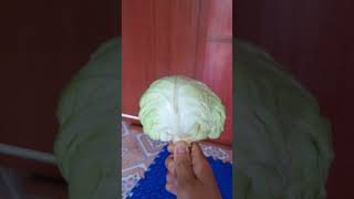 Ice Cream  Bing chilling 🥴🤩😋 shorts Best video by Eridon Family [upl. by Cartwell]