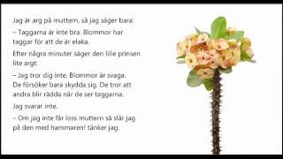 Ljudbok Den lille prinsen kapitel 7 Prinsens blomma [upl. by Attej]