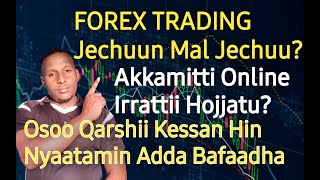 Forex Trading Jechuun Malidha Akkamitti ONLINE Irratti Qarshii Hojjatu Fayidaa FI Midhaa Isa [upl. by King]