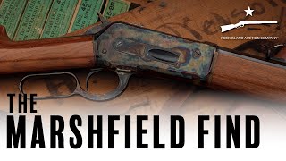 Discovered After 90 Years  The Marshfield Find [upl. by Elvina]