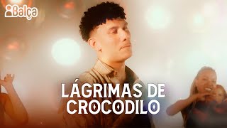 Lágrimas de Crocodilo  Grego Música Nova [upl. by Nodnol]