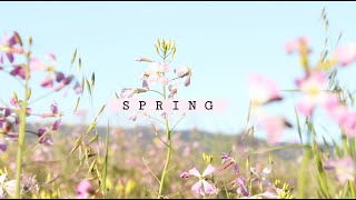 Relaxing Nature Video  Earnestly Yours Keaton Henson Aesthetic Spring Flowers Nature [upl. by Arabel779]