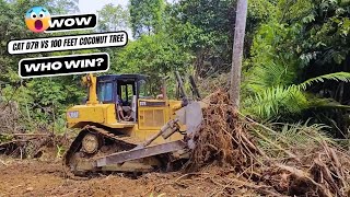 How CAT D7R Dozer Take Down a 100 feet Coconut Tree [upl. by Cardie]