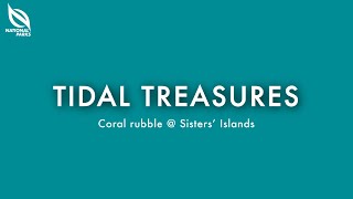 Coral Rubble At Sisters Islands  Tidal Treasures [upl. by Filberto]