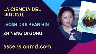 La Ciencia del Qi Gong con Laoshi Ooi Kean Hin  ESP [upl. by Ralat]