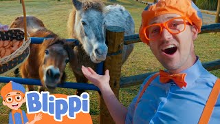 Blippi Makes Animal Friends at the Petting Zoo  Learning Animals  Educational Videos For Kids [upl. by Gordan]