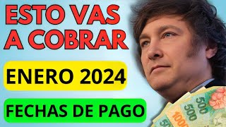 🛑 AHORA❗️BONOS y Fecha de Cobro ENERO 2024 para Jubilados Pensionados PNC PUAM AUH y SUAF ANSES [upl. by Raffin448]