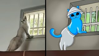 Cat Memes Release your Smurf cat 😹 New Funniest Animals 2023😂 [upl. by Valonia678]