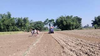 New Eicher 551Tractor old Rotavatorforfarmes please subscrib করো 🙏🙏🙏🚜🚜🚜😂😂 [upl. by Kolnick]