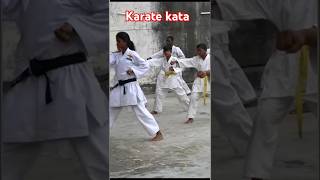 KARATE KATA 🔥🔥🔥🔥🔥🔥🔥🔥 karate karatekata Karatefitnesstutorial [upl. by Scheers]