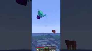 How To Find Nether Portal Last Block Moment minecraft shorts meme [upl. by Oz]