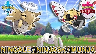 Capturer Ningale Ninjask et Munja  Pokémon Épée et Bouclier [upl. by Deckert]